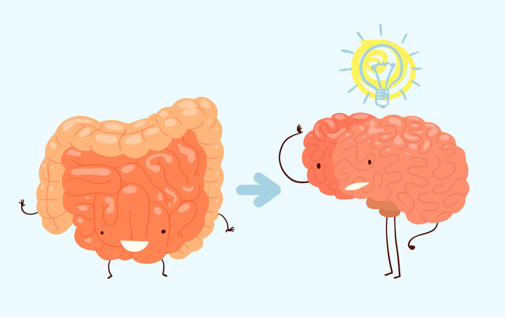 НИЗШИЙ РАЗУМ: как кишечные бактерии управляют нашим мозгом.